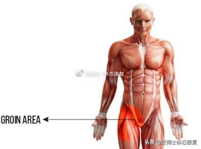 腹股沟拉伤康复后又发作,运动时腹股沟拉伤吃什么药好得快