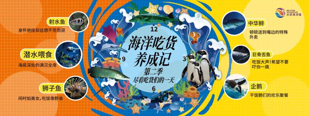 周末有风？别怕，来北京这里看花花草草和无数小可爱！猜到是哪里了吗？