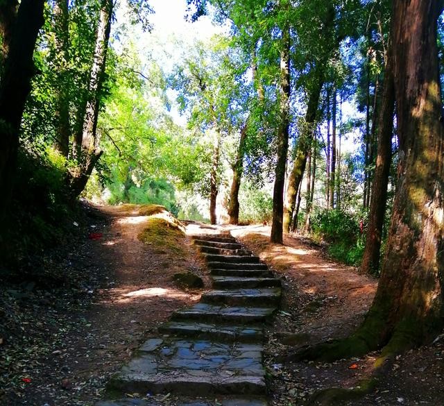 徐霞客游记完整视频,徐霞客游黄山后记全文