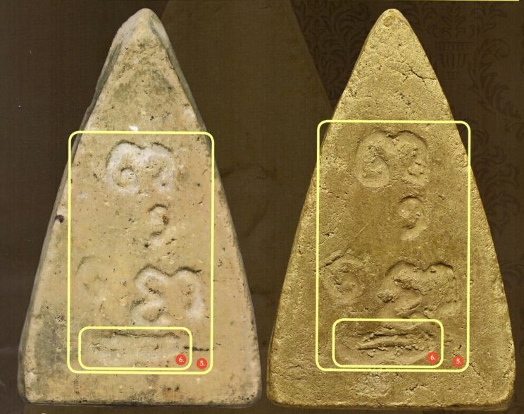 「鉴变」2494普陀耐最受欢迎的大模第二无耳线模