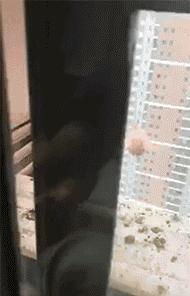 今日只为逗你一笑图片,每日一乐搞笑动图