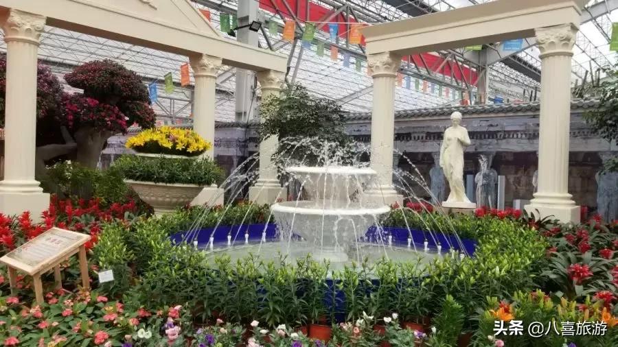 国庆节来海边相遇,来青州感受一场心动之旅