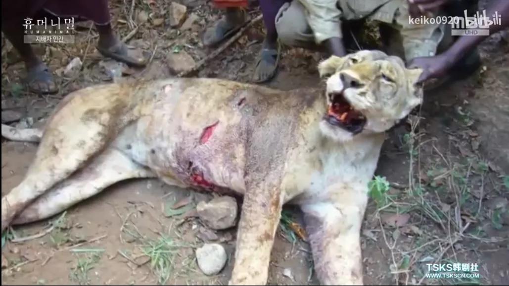 被已婚男欺骗致怀孕一尸两命,女孩儿被骗怀孕最后被杀害