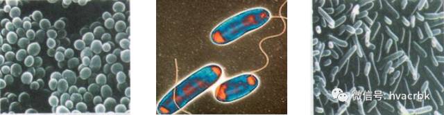 中央空调系统清洗保养攻略图解