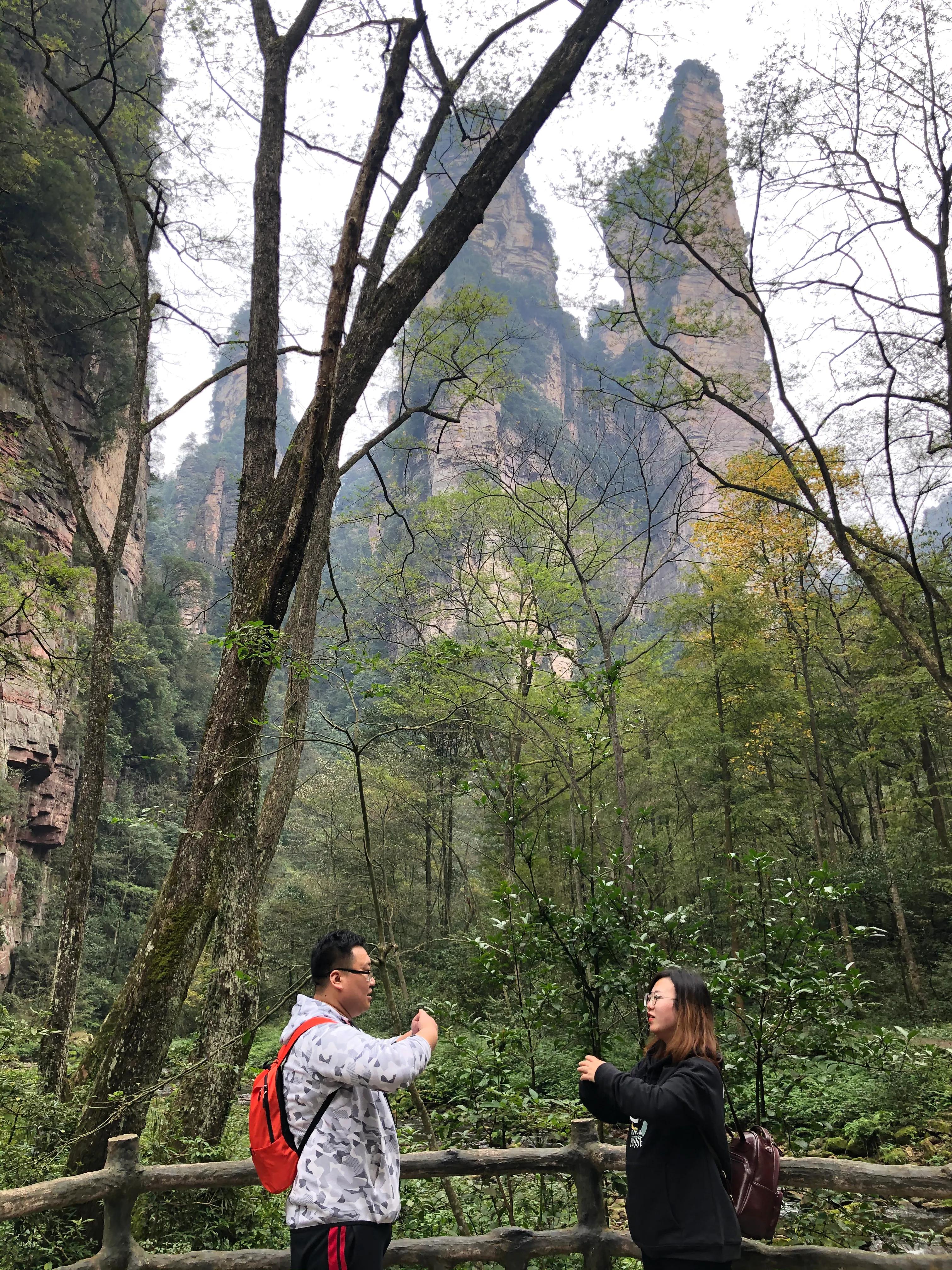 张家界武陵源天门山大峡谷三日游,张家界凤凰古城芙蓉镇六日游攻略