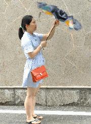 出门必备晴雨两用伞自动,晴雨两用伞使用好物出门必备