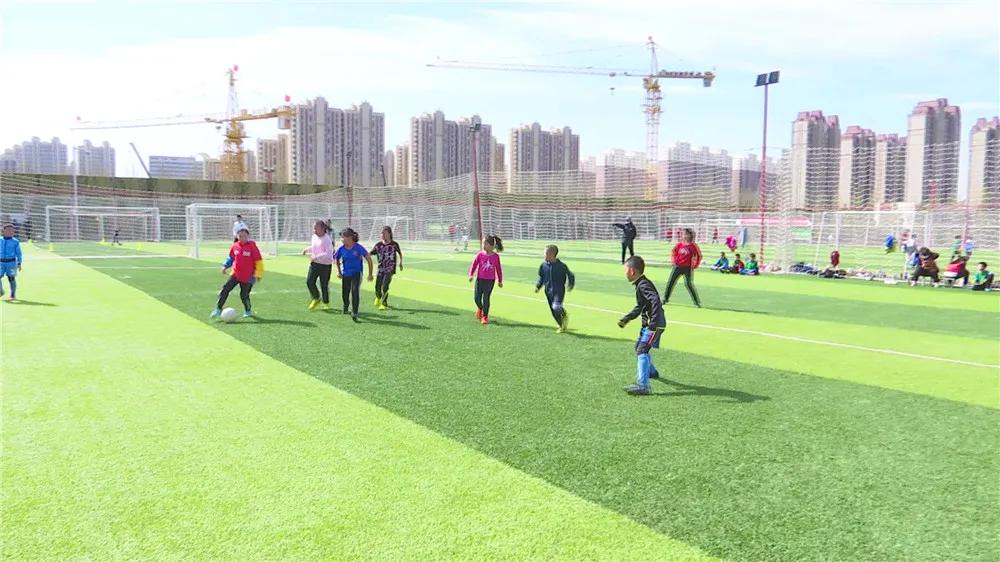 赛罕区全民健身中心综合馆,室内健身场馆陆续恢复开放