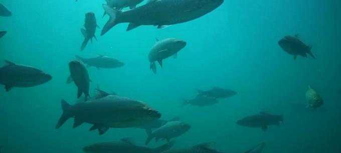在高山湖泊边拍摄的风景照片湖底,绝美天池风光摄影照片