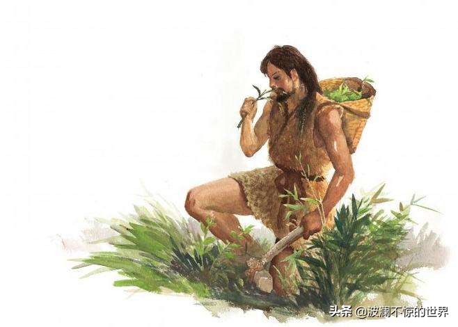 共同祈福！神农尝百草！保佑疫情马上结束！