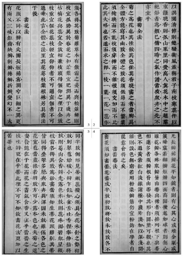 菊花写意画法100幅,简单的写意菊花画法