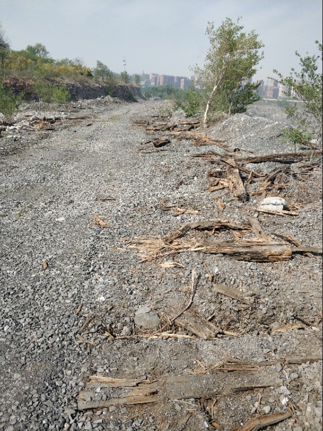 大连石灰石矿地块土拍,大连石灰石矿王健林还开发吗