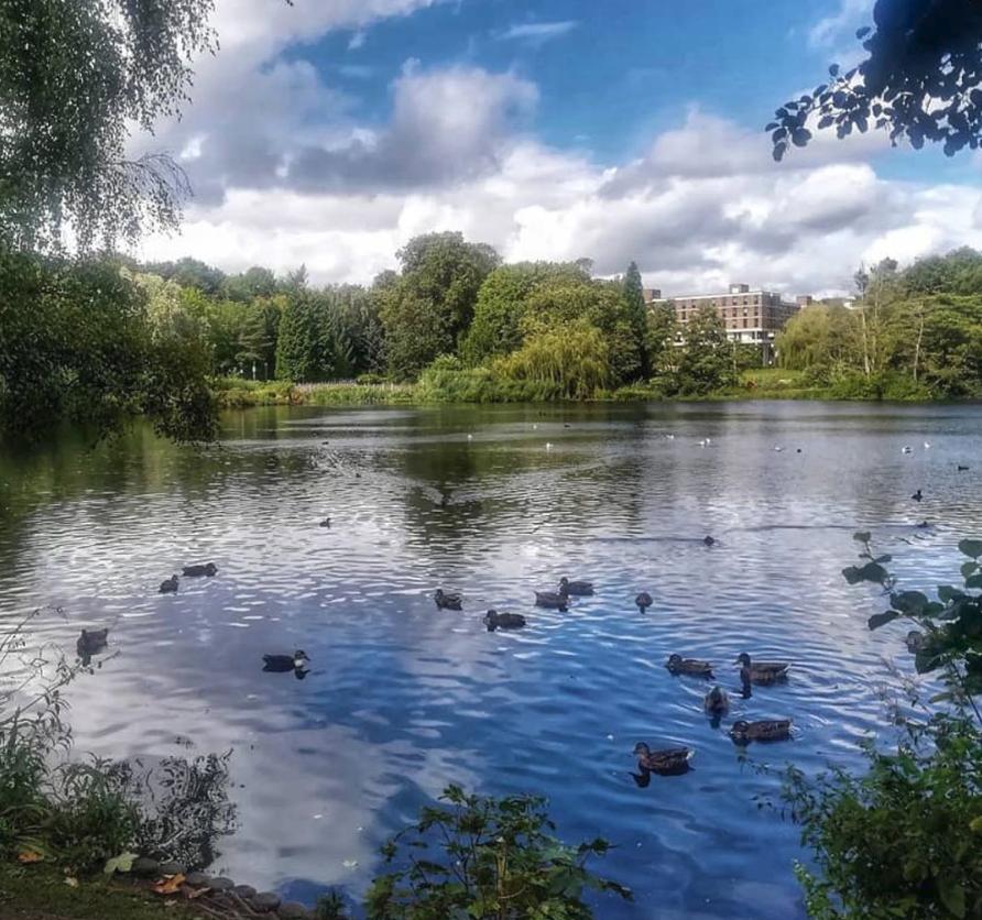 英国最低调的大之一：伯明翰大学，学术不打折，去哪都便利