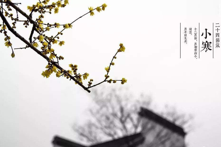 手脚关节痛怎么把寒气逼出来,手脚冰凉关节痛用什么中成药治疗