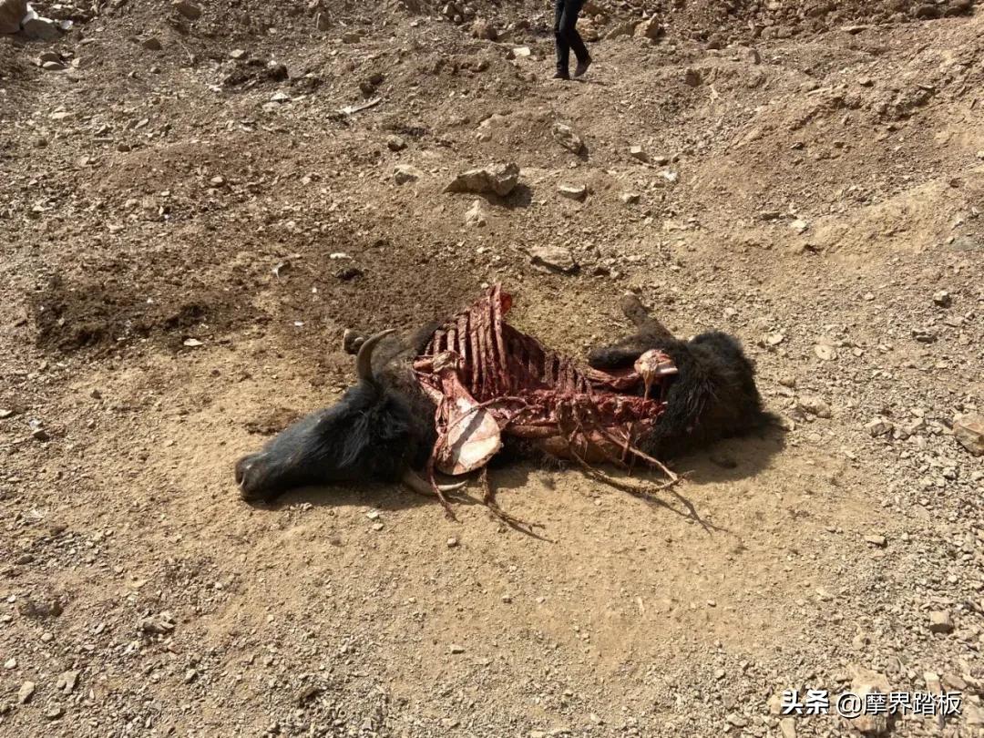 吕文广全部视频,吕文广浙江