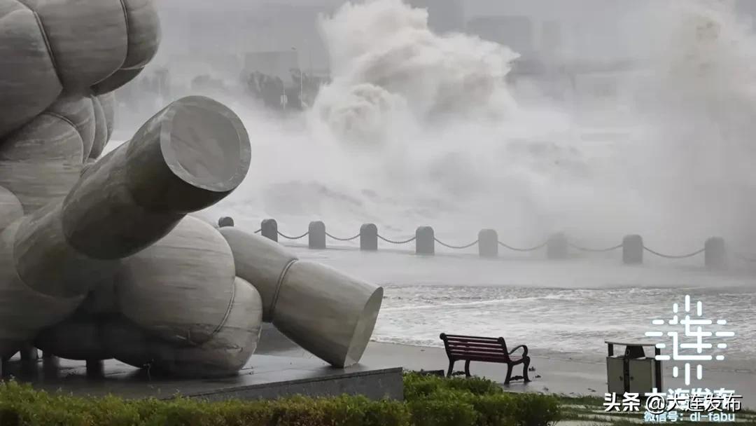 中心城区已清理305株倒伏树木，今夜大连仍风骤雨急！