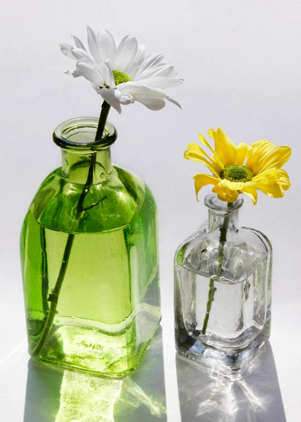 丁香精油和什么精油功效一样,认识油的种类