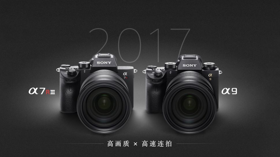 索尼微单相机都有哪些系列,索尼最新微单相机哪款好