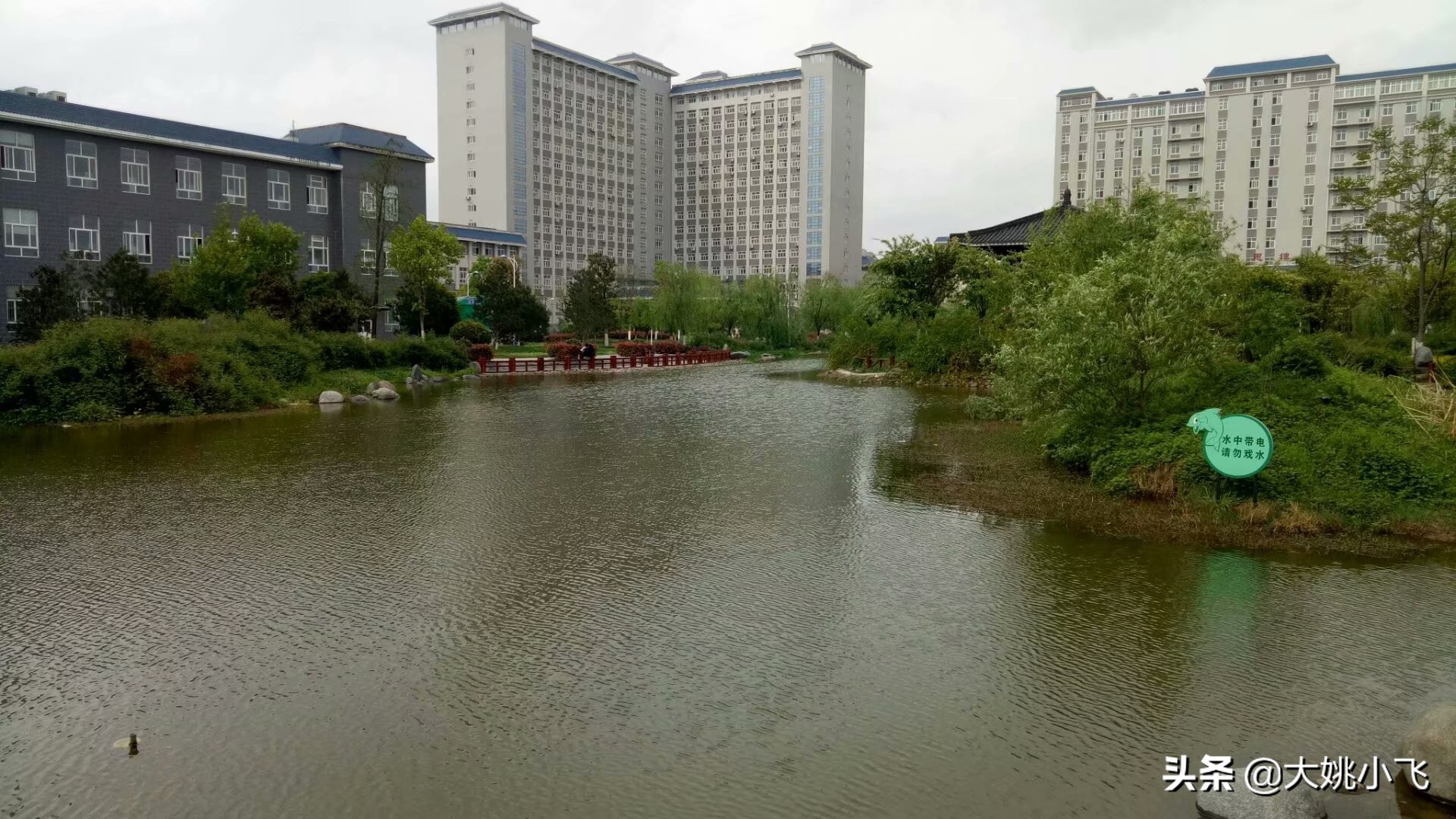 我的大学,我的大学简介视频