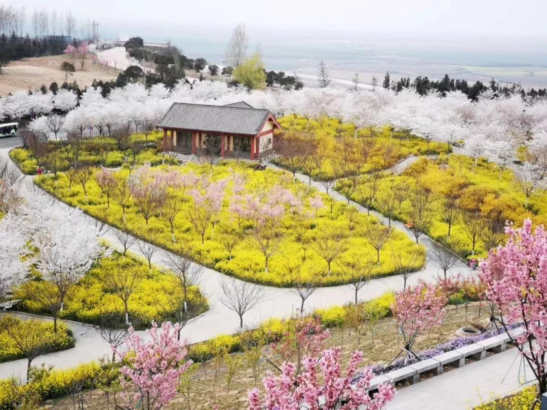 焦作2023年免费开放的景点,焦作人都去哪里玩了