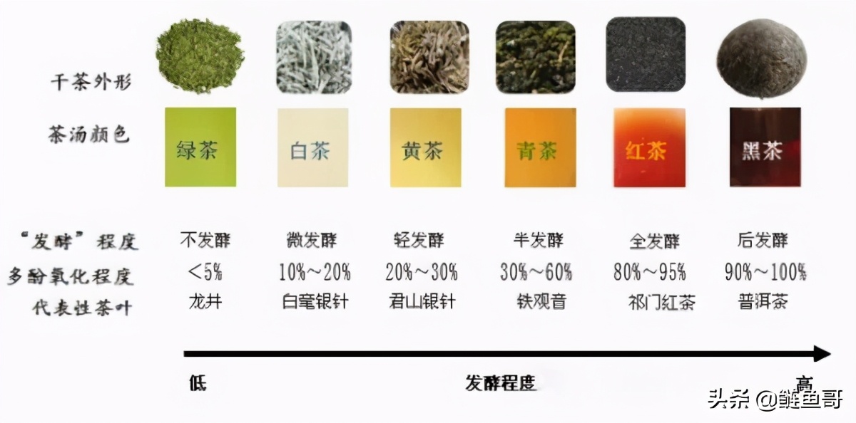 一张图六大类茶叶的工艺区别,六大类茶叶的工艺区别