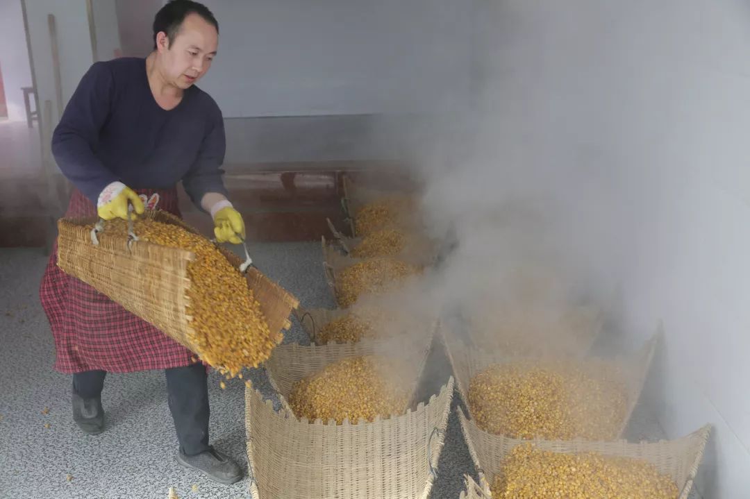 云南人一般喝什么香型的酒,云南哪种酒比较好