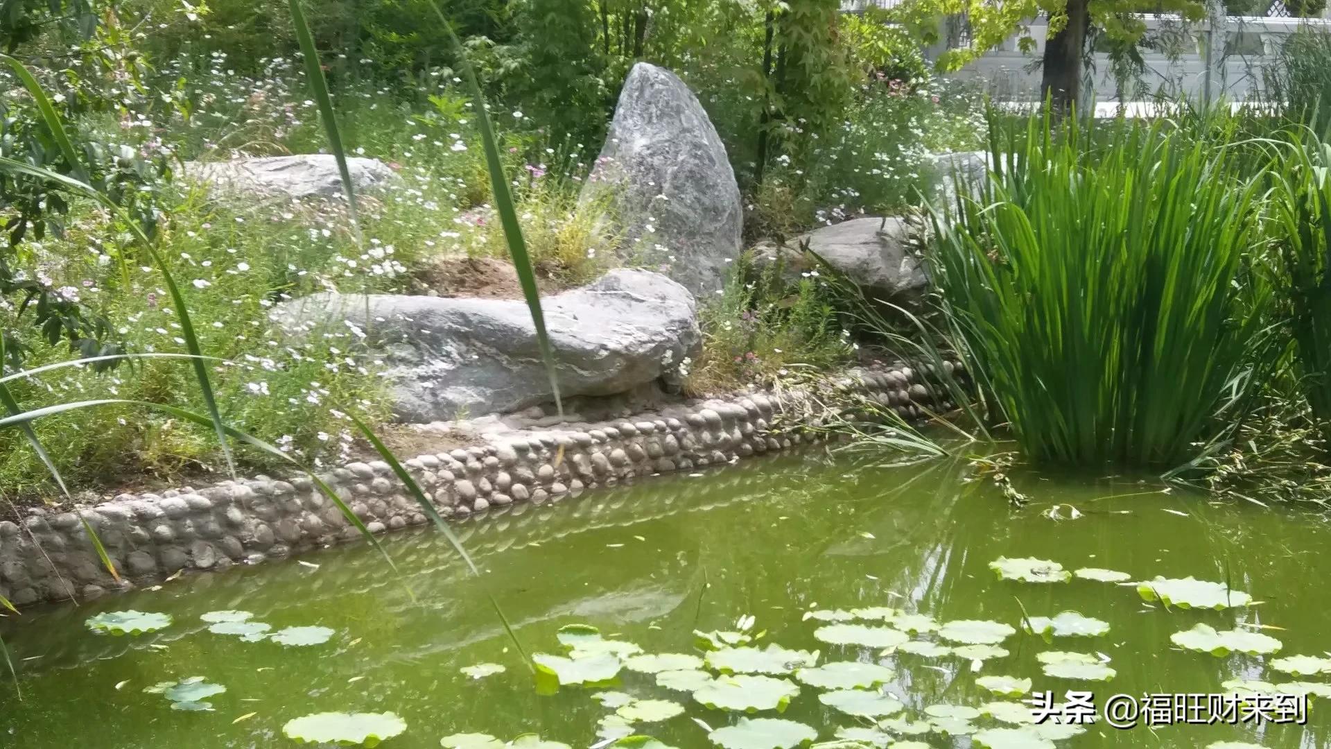 6月5号芒种,2018年6月6日芒种