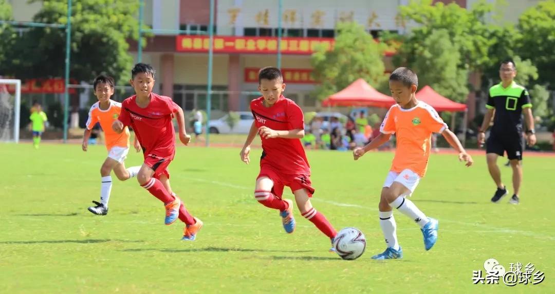 区中小学足球联赛,体教融合杯中学篮球赛