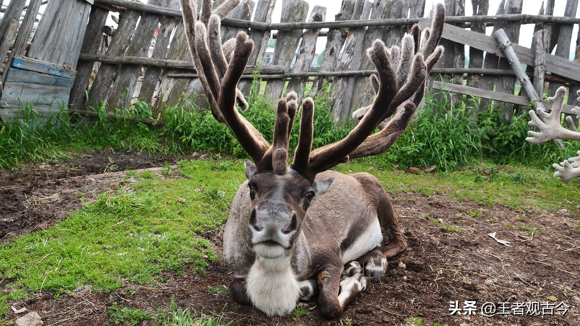 契丹五京路路相连：先以上京、后以中京为中心，联系其他三京