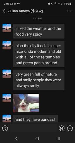 有一种生活美学叫成都短片,成都生活美学视频