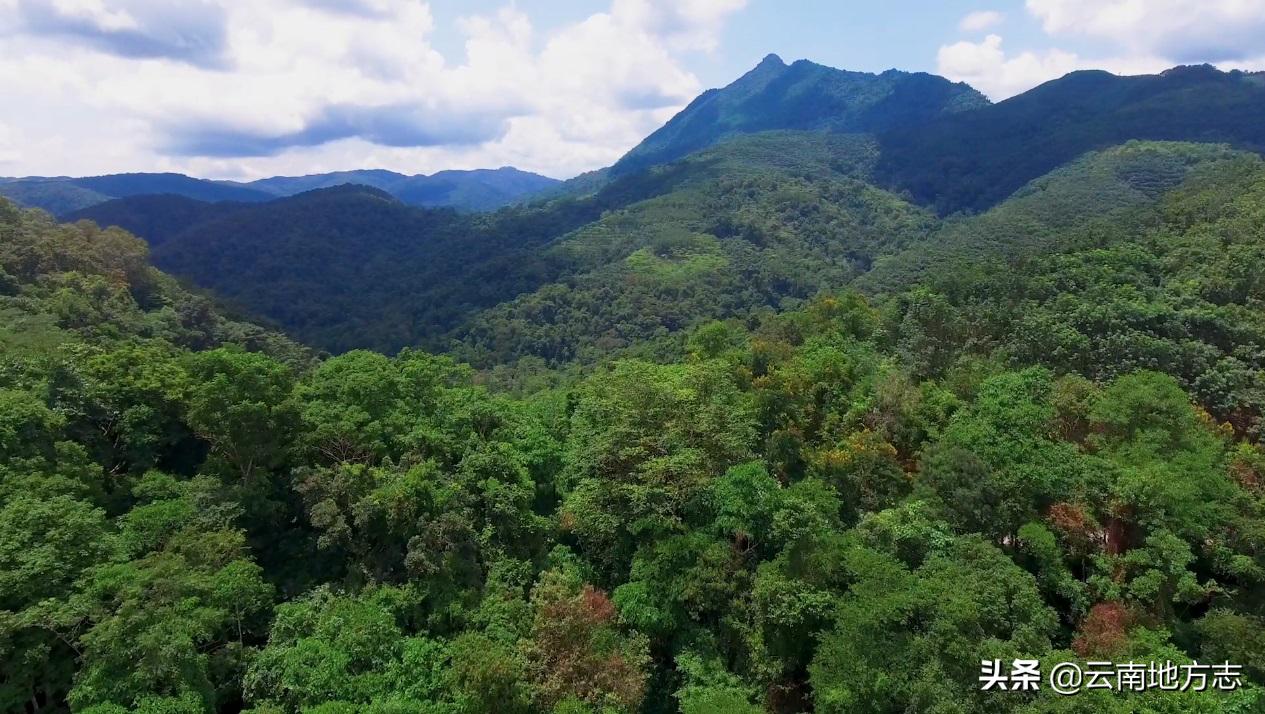 缇庡搲浜戝崡鍏ㄩ儴瑙嗛,缇庡搲浜戝崡鍓х収