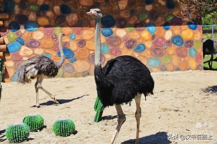 汉中户外遛娃好去处排行榜,汉中遛娃旅游景点有哪些