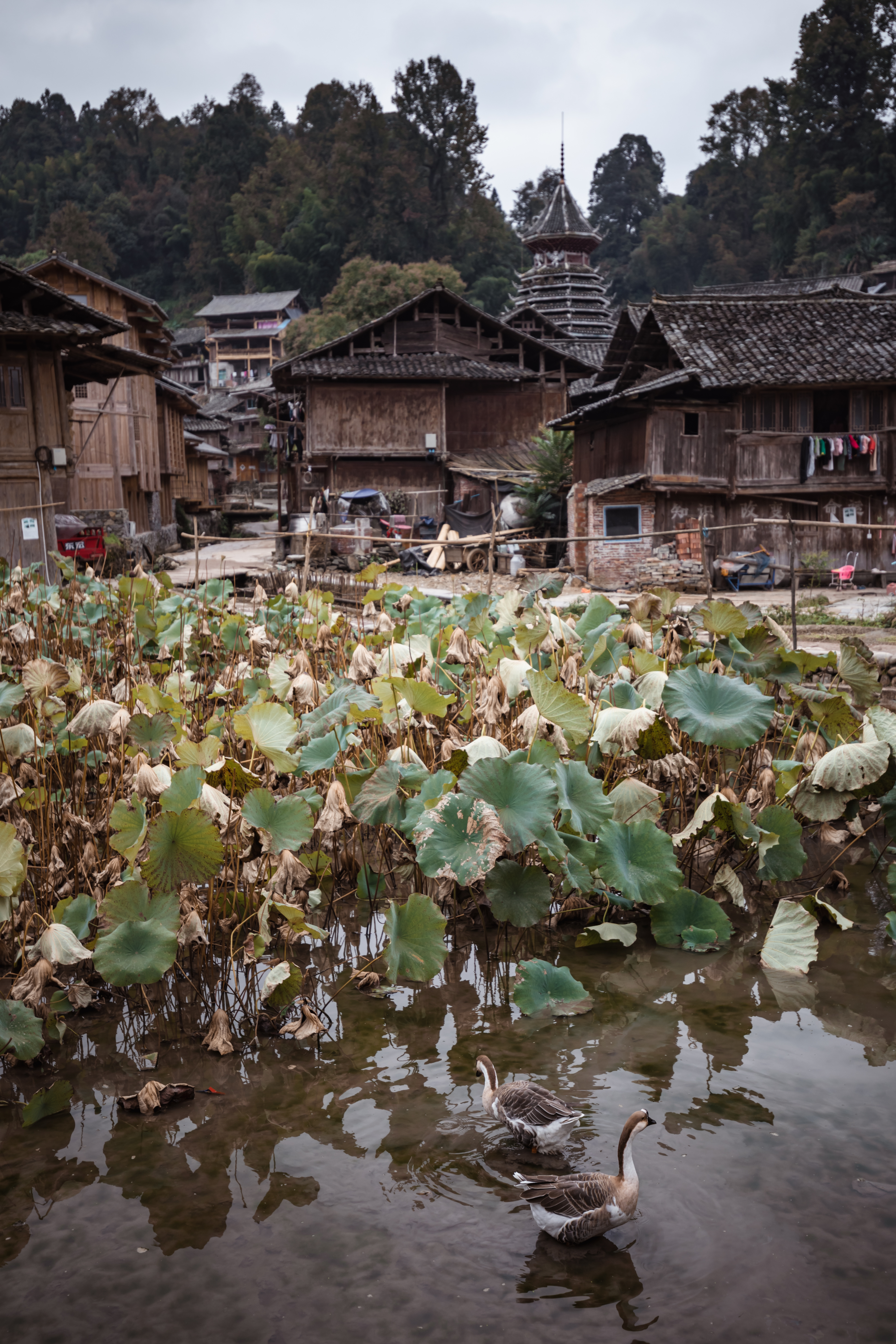 贵州人少景美的小村寨,贵州特点寨子