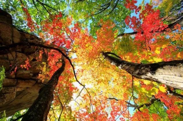 沈阳周末一日游推荐冬季,沈阳秋天去哪里看枫叶