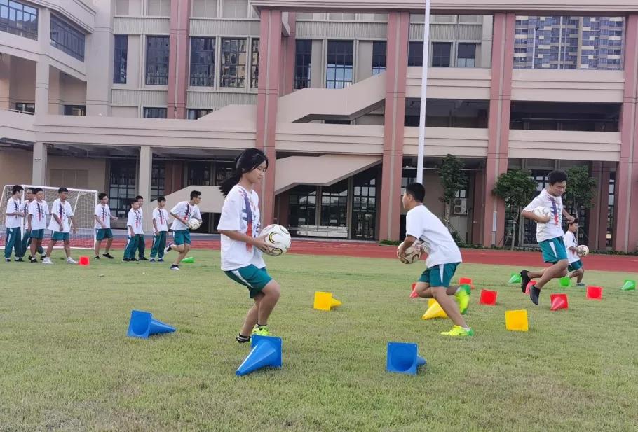 落实双减政策聚焦课堂教学,落实双减政策学校该怎么做