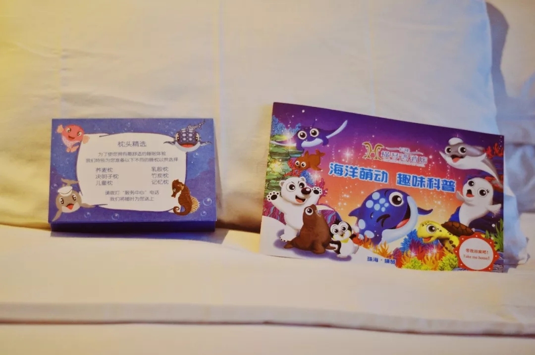 京轩溜娃指南｜暑假带娃去哪儿玩？入坑长隆那是必须滴~