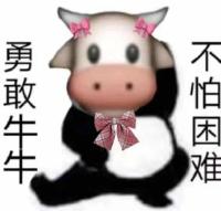 最好用的表情包微信,好用的表情包解析