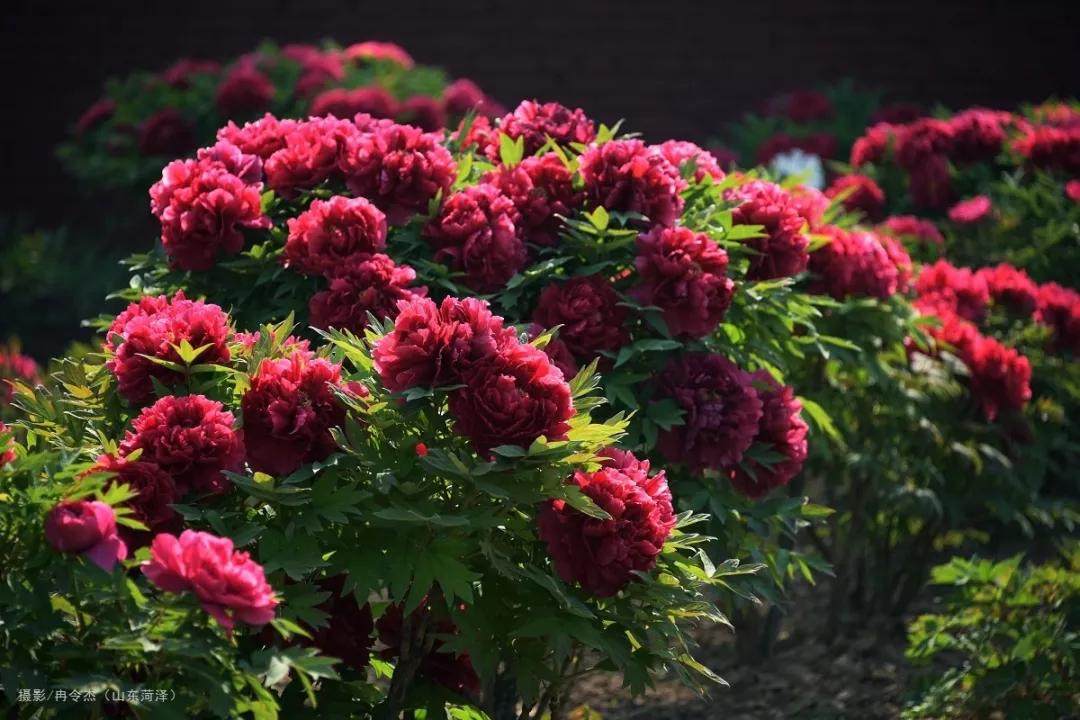 超适合一个人的15个国内外旅行地,国内适合一个人旅行的景点有哪些