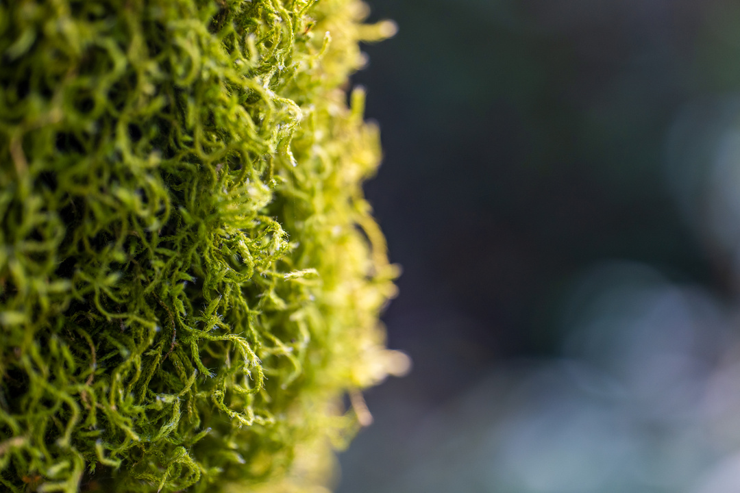 南靖景区有哪些好玩的,南靖风景好的地方推荐