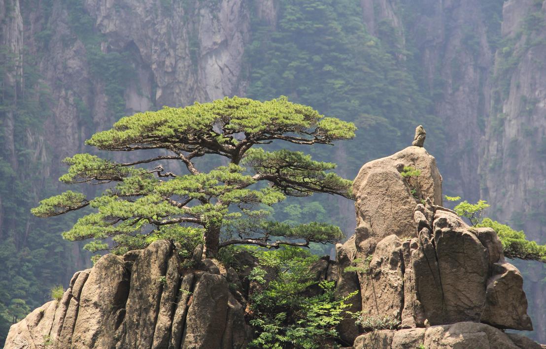 中国最赚钱的旅游名山,十大游客最多的山