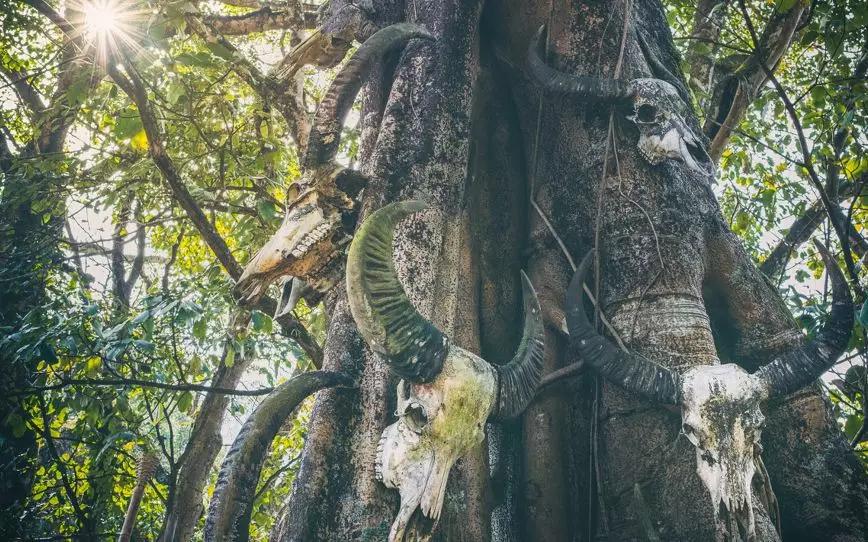 云南丽江旅游必备物品清单,云南元阳旅游攻略必备物品