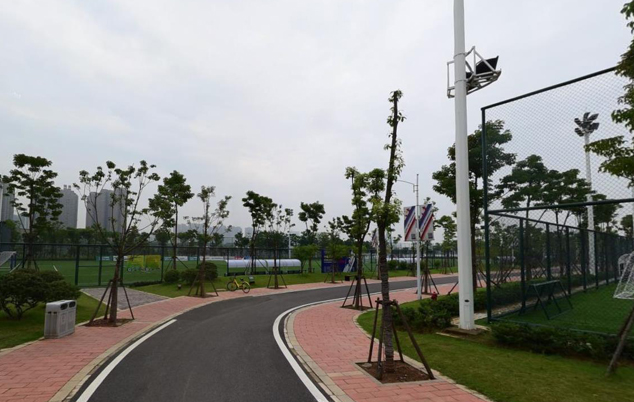 洪山区武汉足球主题公园,武汉有什么专业足球球场