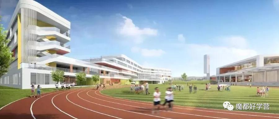 2020上海新开学校,上海新招生大学