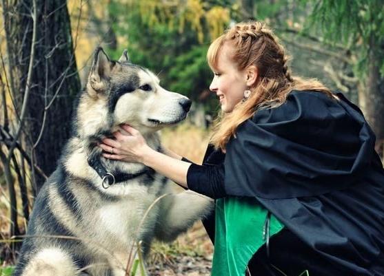 中老年人养狗有什么优点和缺点,最好养的五种小型宠物狗