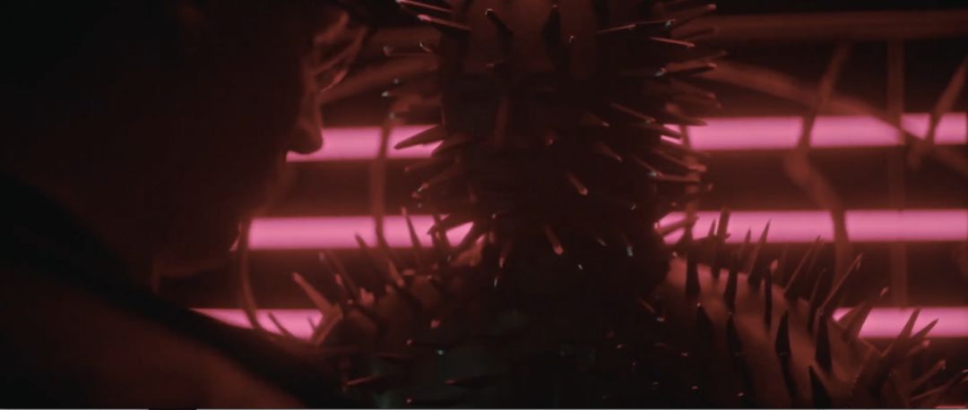 最近的cult片,cult新片