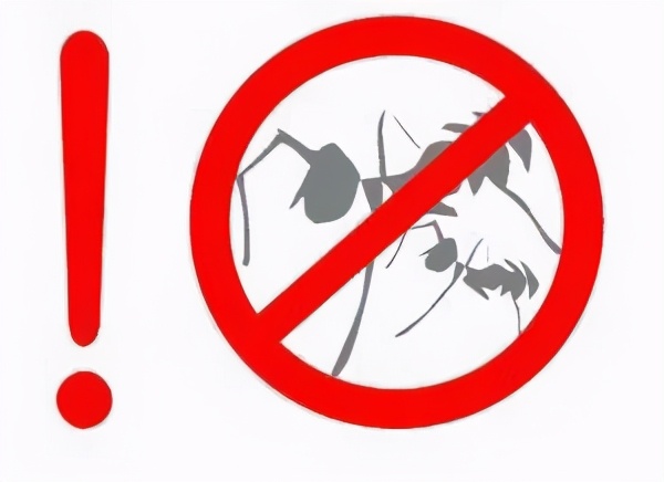 装修入住的房子怎么消灭白蚁,装修前除白蚁最简单有效的方法