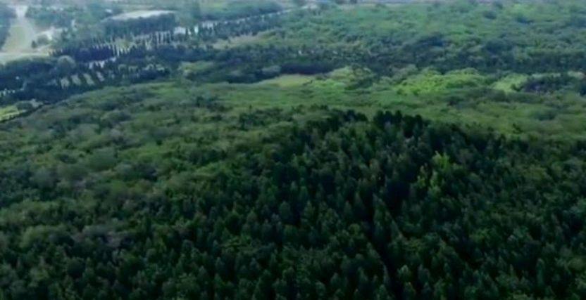 秦始皇陵墓水银的用处,秦始皇墓里水银挖开以后有多危险