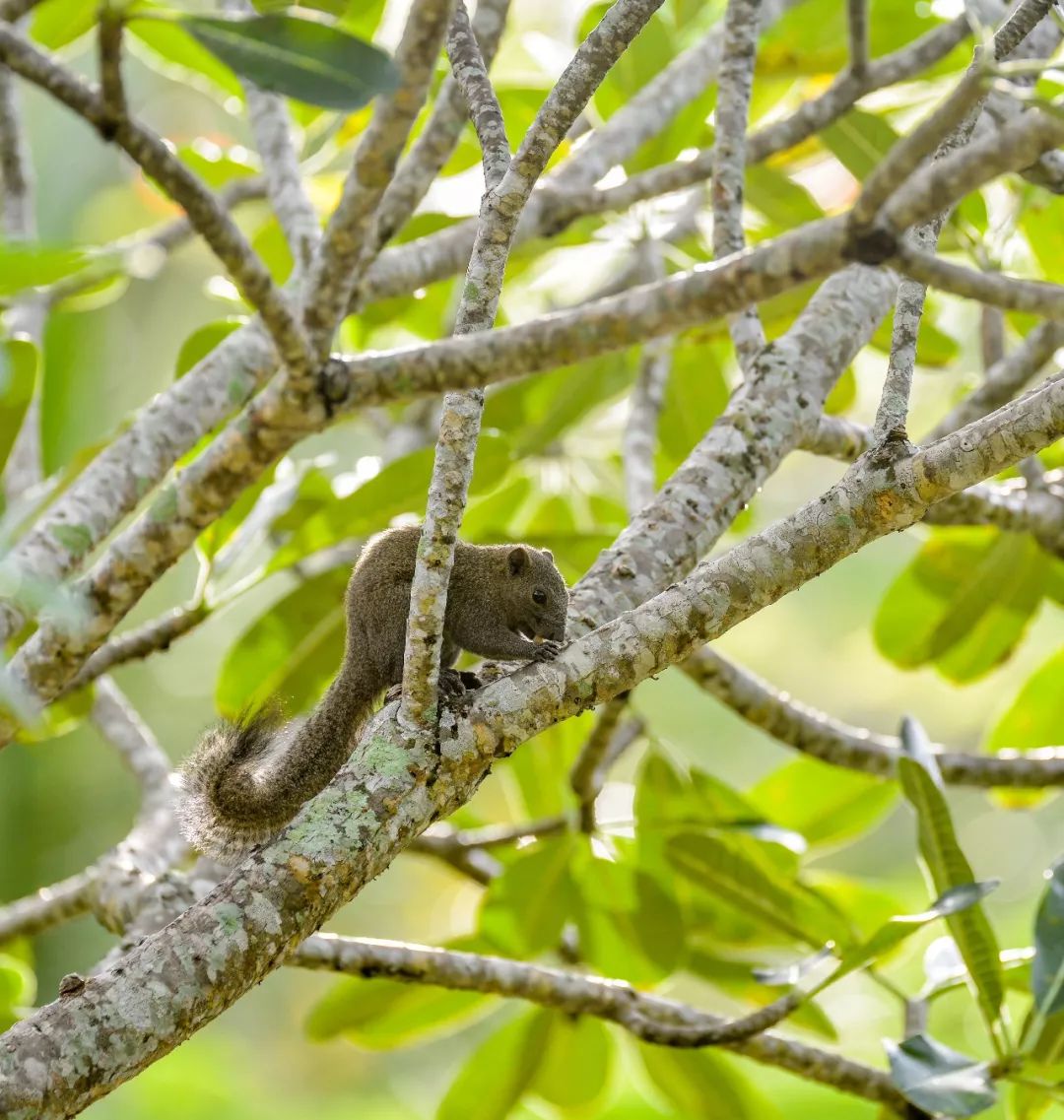 成都宝妈：孩子征服世界的第一站