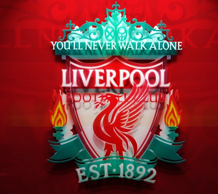 各足球队队徽大全,30个球队的队徽