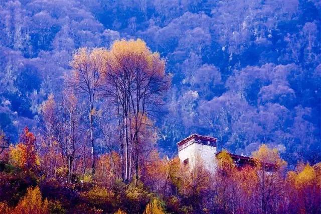 六月我们一起去旅行,九月带你去旅行