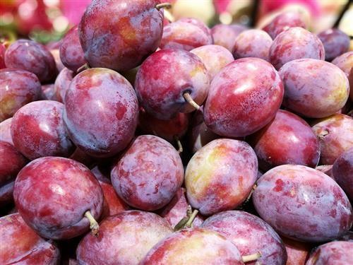 新鲜西梅怎么吃通便最快,西梅什么时候吃通便最好
